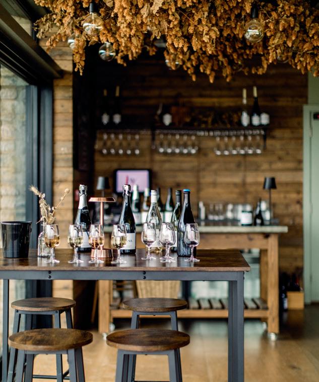 Wraxall Vineyard