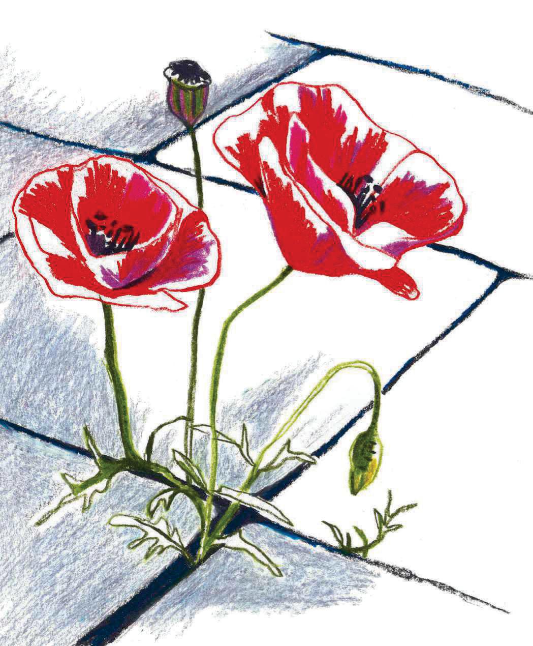 Can we 'de-patio' our gardens?