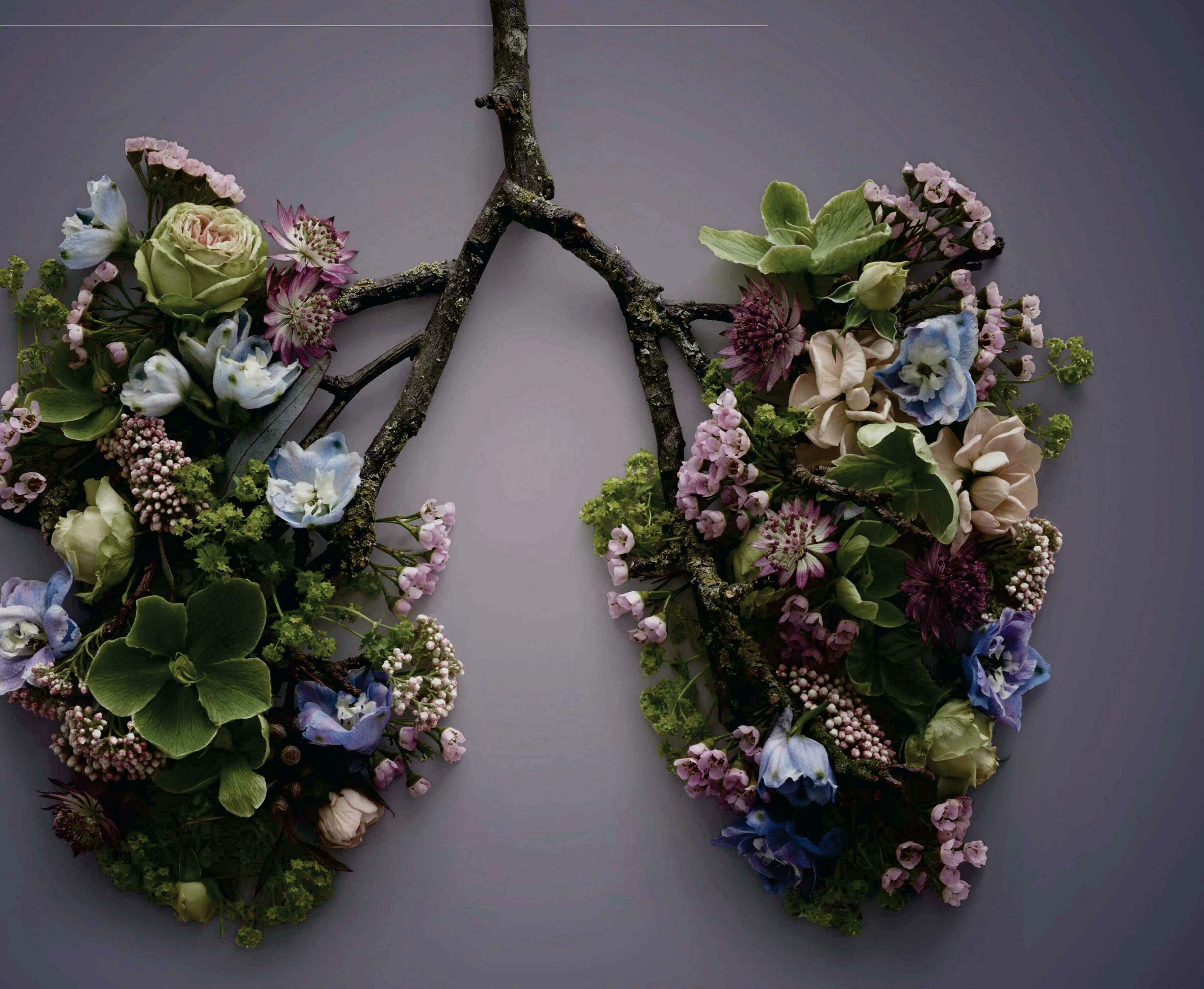 CAN YOU BREATHE YOUR WAY TO BETTER HEALTH?