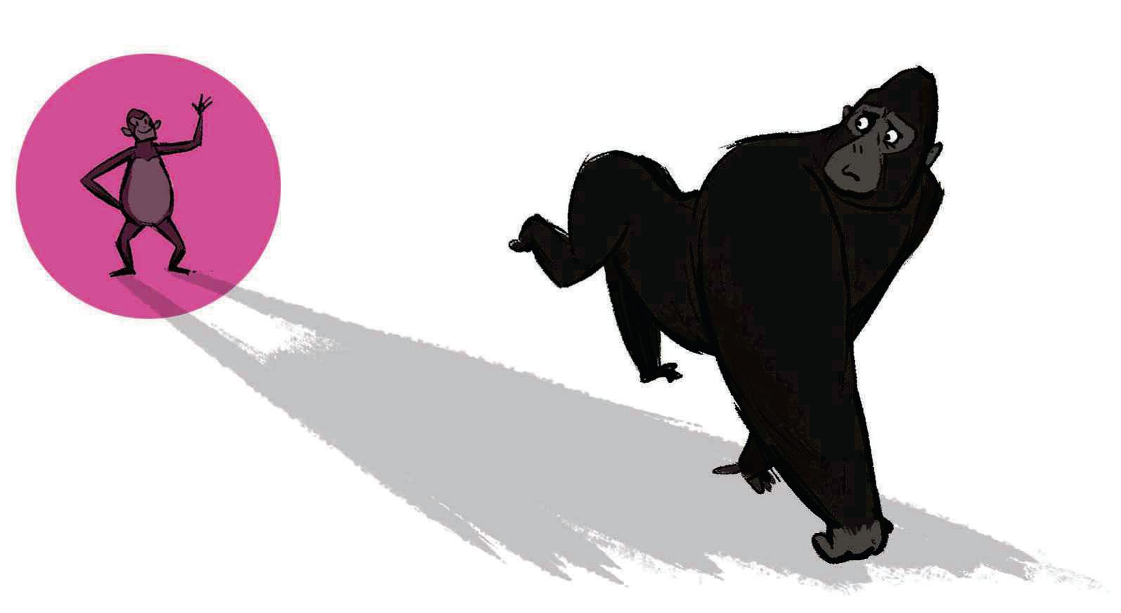 Female gorillas can overpower males twice their size
