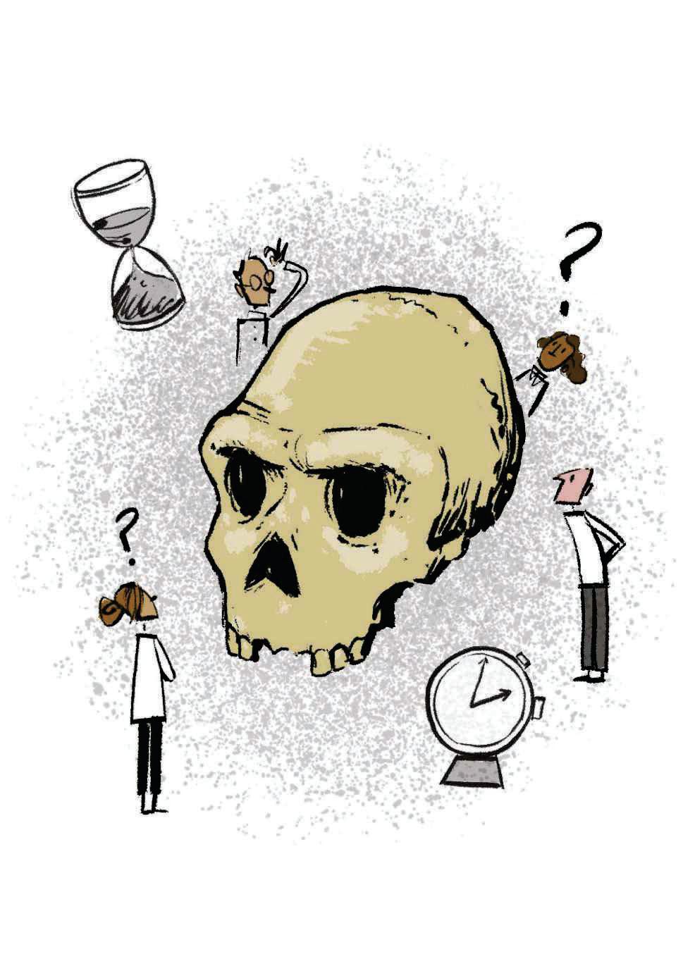 60-year mystery of the fossil skull that baffled scientists may finally be solved