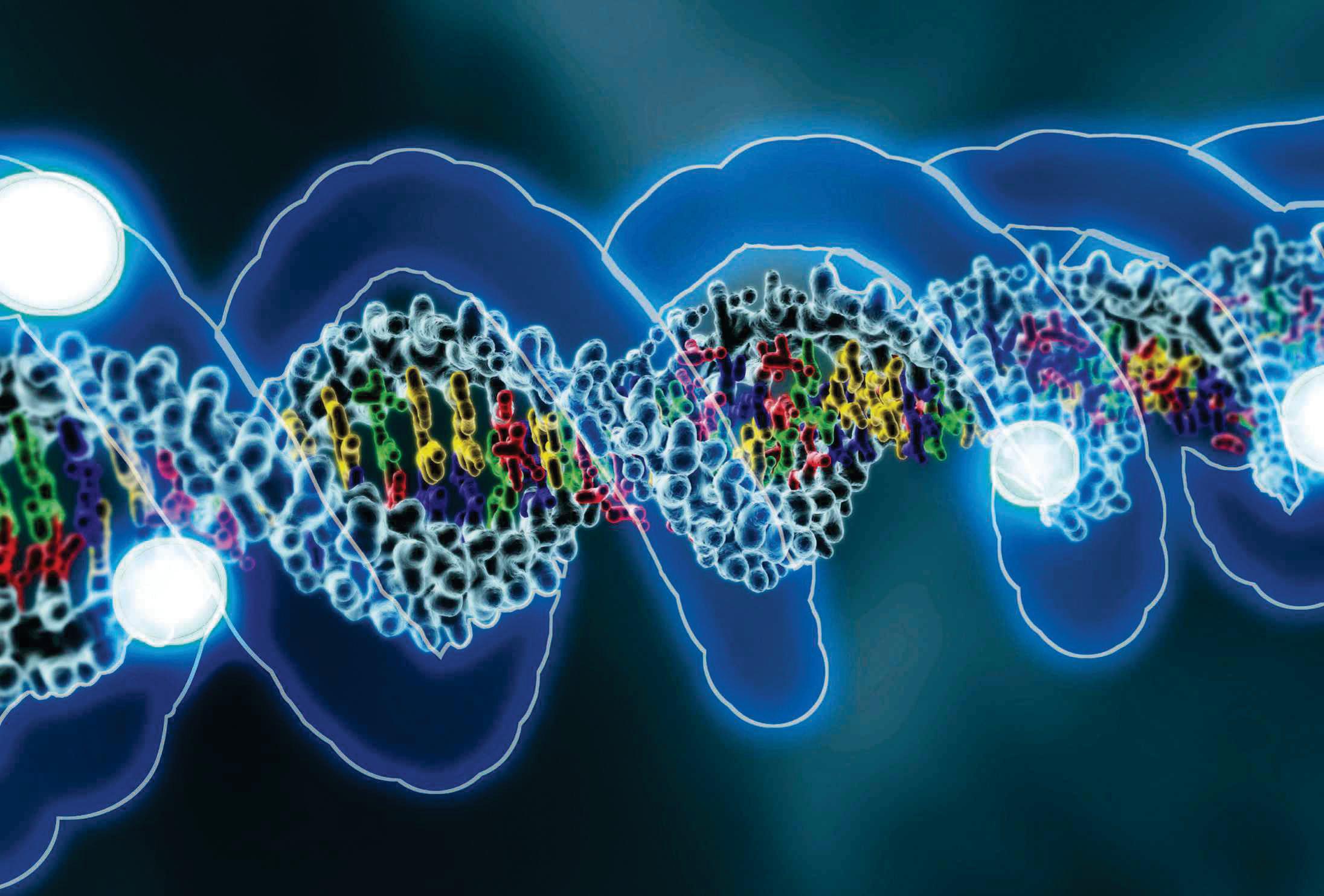 'Ageing atlas' reveals how time reshapes our genes