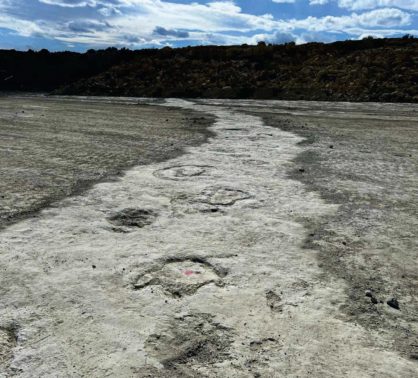 Dinosaur 'superhighway' unearthed in the UK