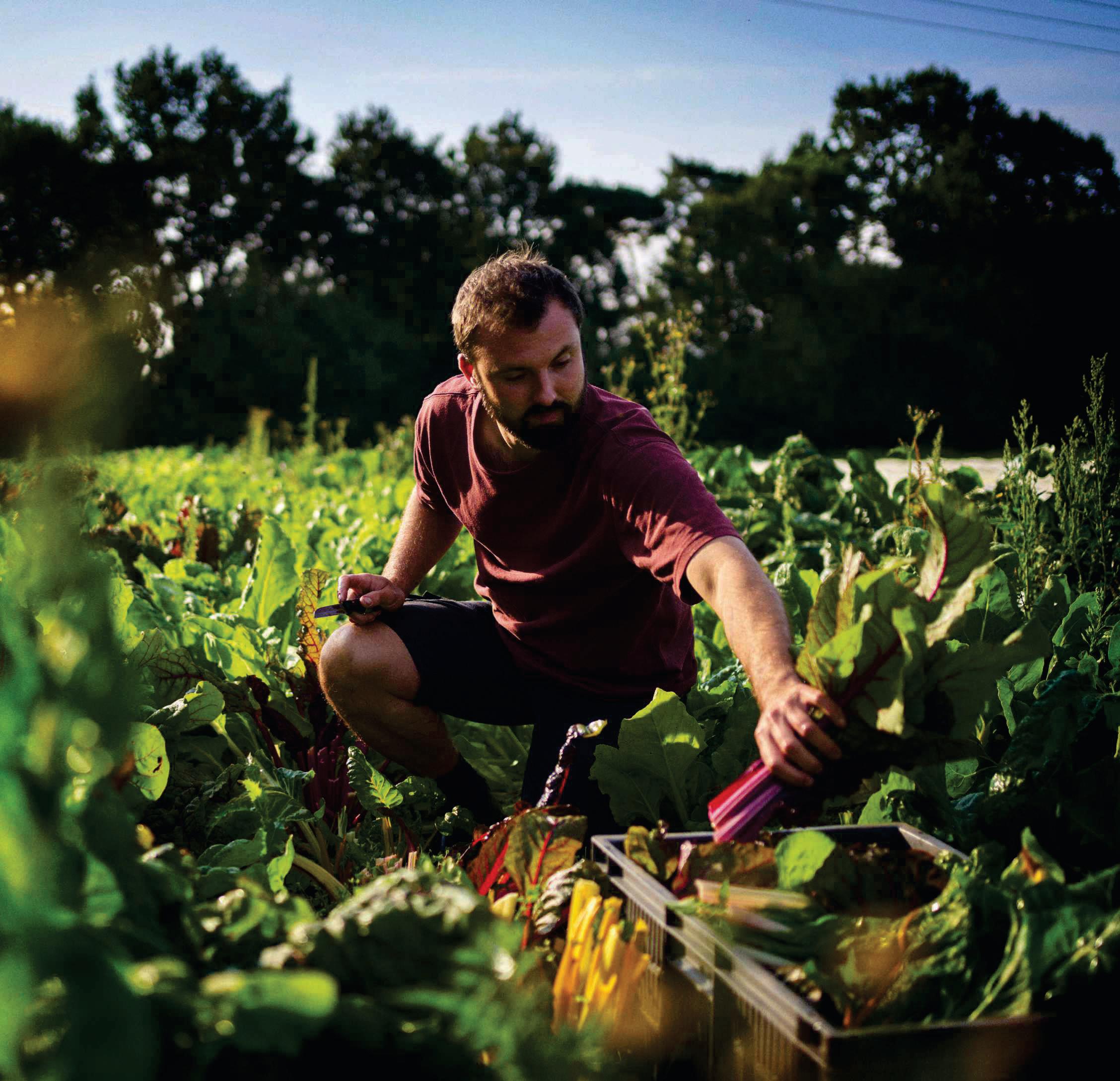 Only 1% of the world is eating a healthy and sustainable diet