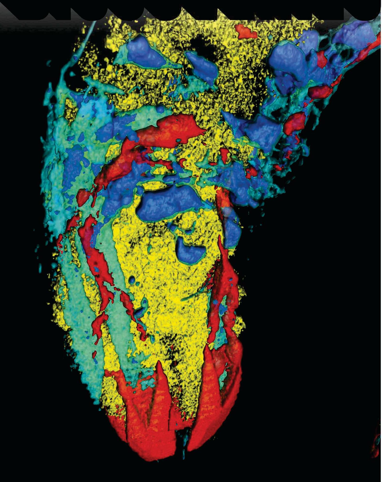 How a tiny worm's brain could transform artificial intelligence