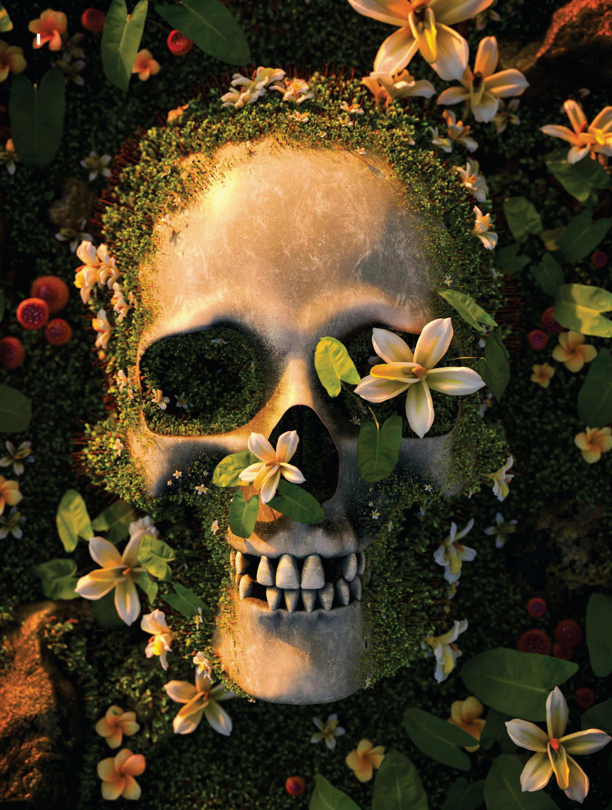 A BETTER WAY TO GO: HOW TO HAVE A GREENER DEATH