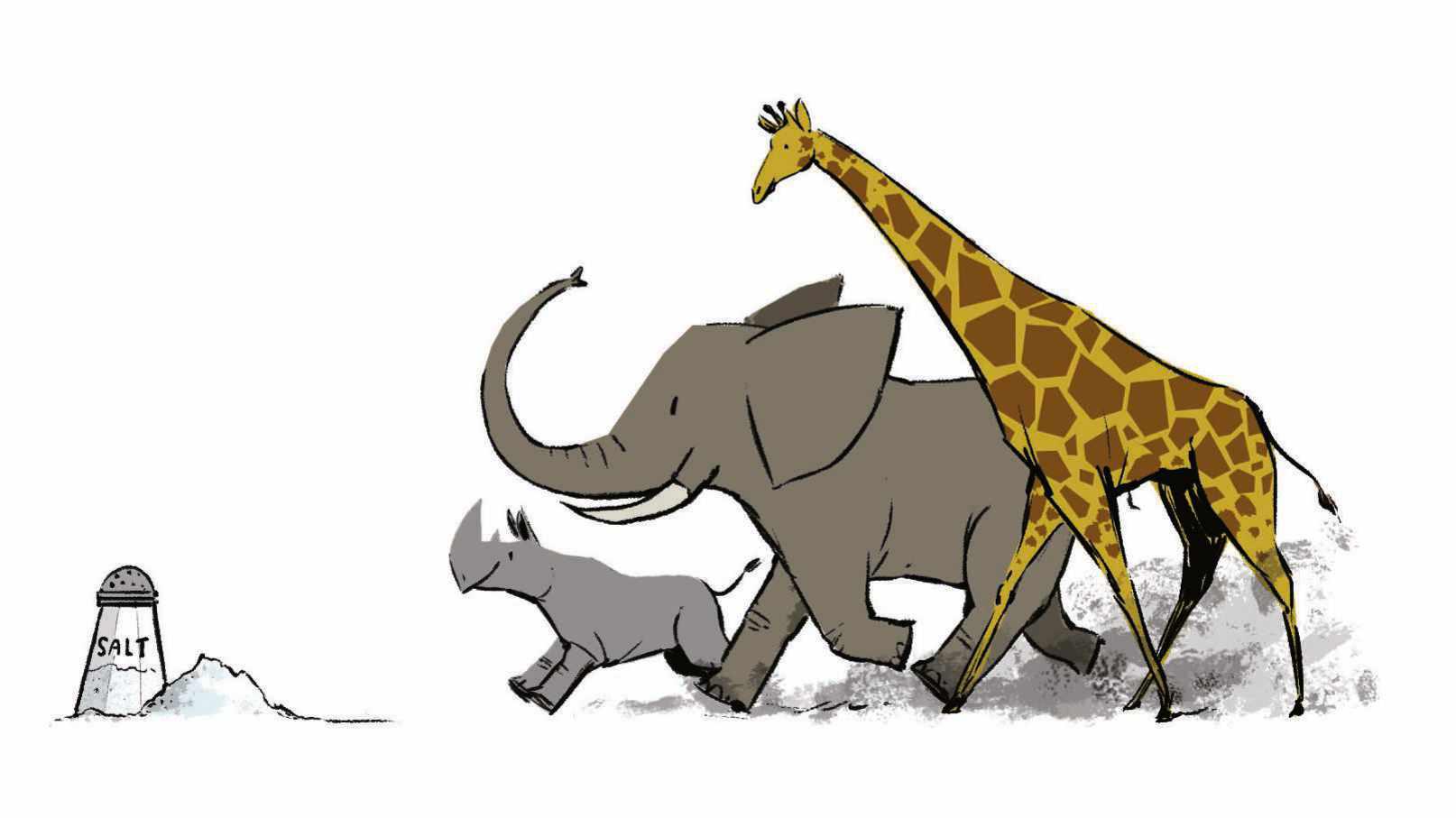 Salt could be key to saving Africa's largest land mammals