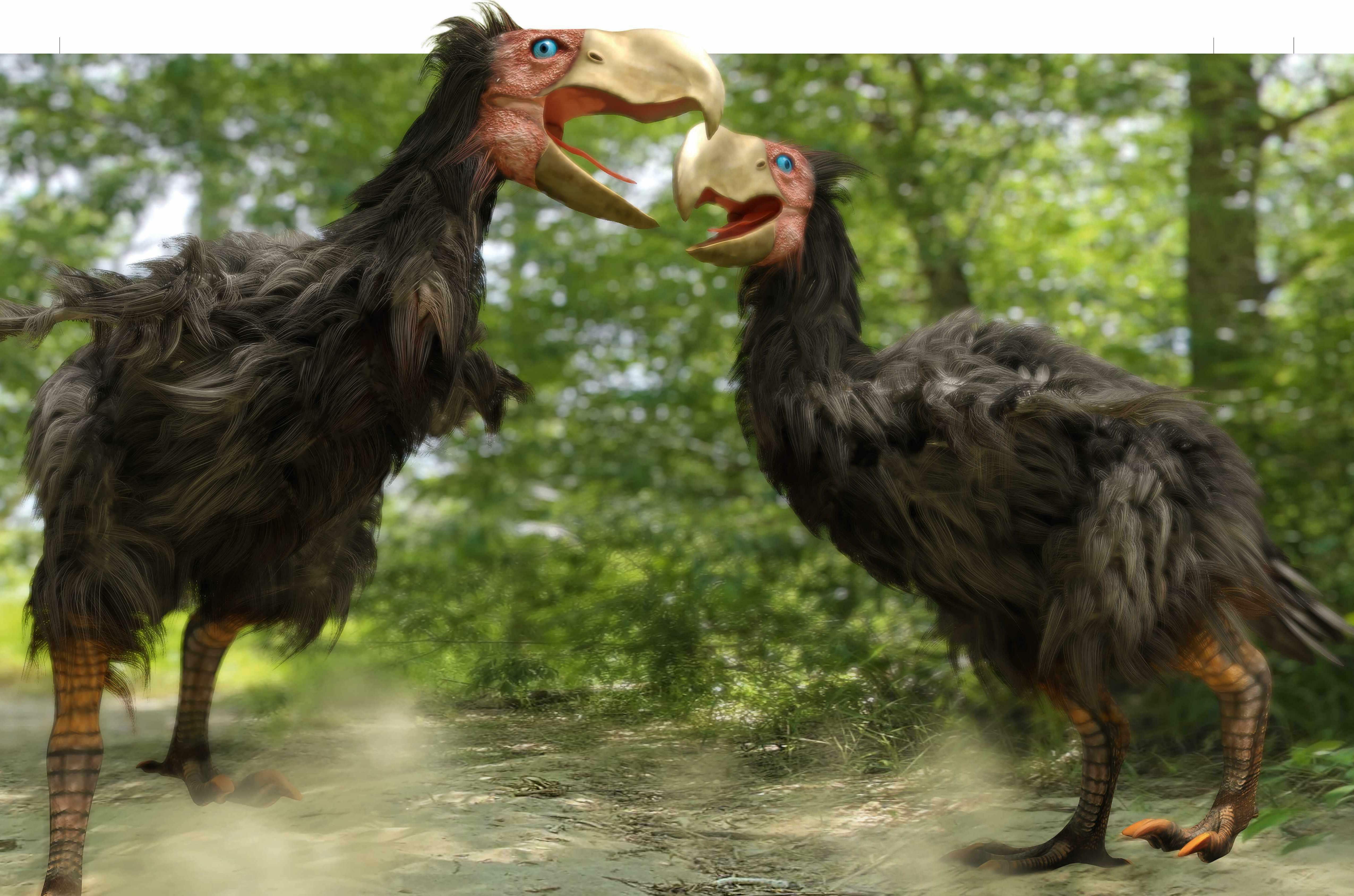 THE BIRDS THAT TOOK OVER FROM THE DINOSAURS
