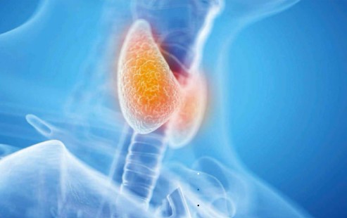CAN YOUR THYROID MAKE YOU A NARCISSIST?