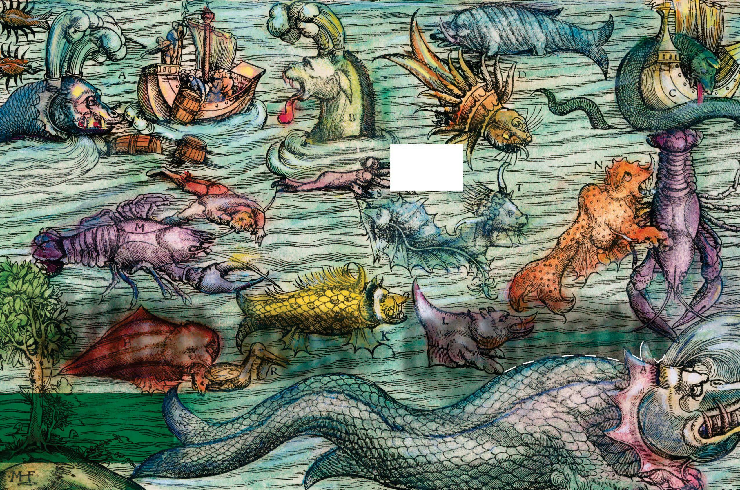 What lies beneath
