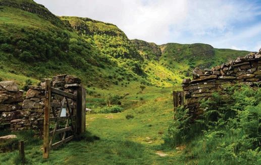 THE LURE OF THE WILD | BBC Countryfile Magazine - lifestyle - Read this ...