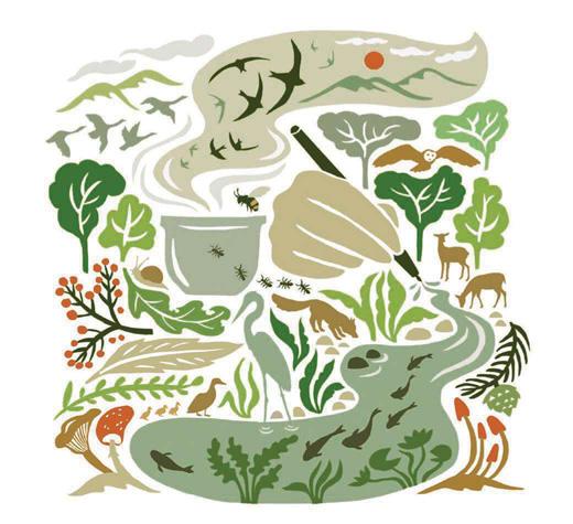 Noticing nature daily can help us understand ourselves and the world