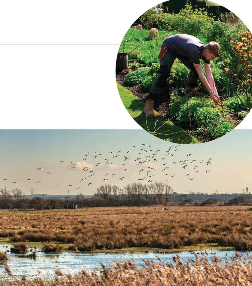 NATIONAL TRUST LAUNCHES BOLD NEW STRATEGIES