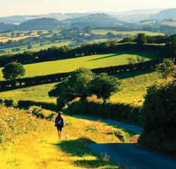 Responsible dog ownership is crucial for a healthy, harmonious countryside