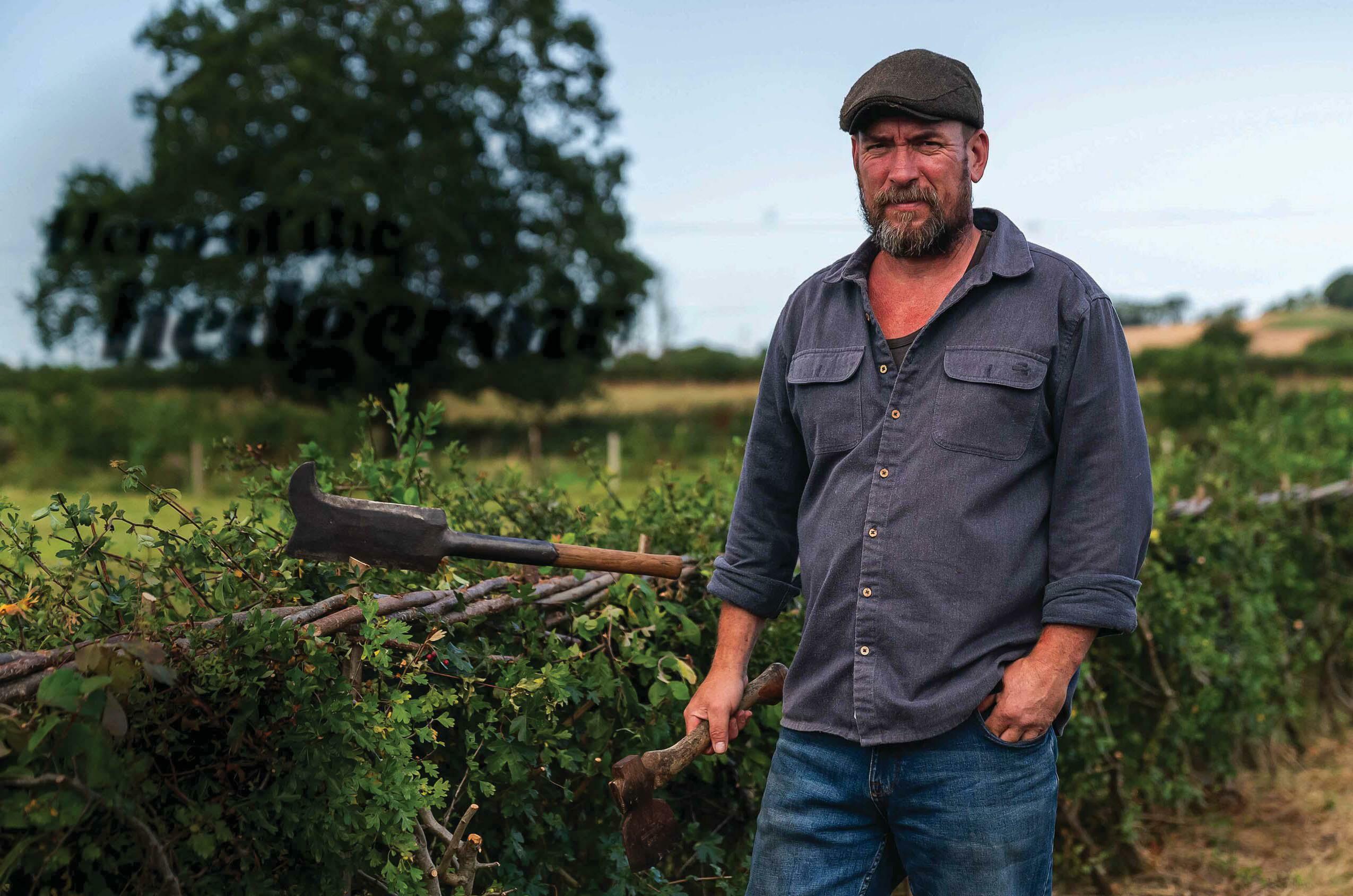Hero of the hedgerow