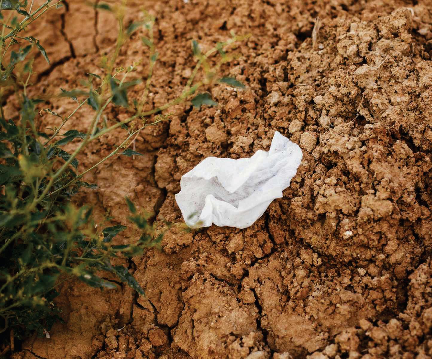 PLASTIC WET WIPES BANNED IN WALES