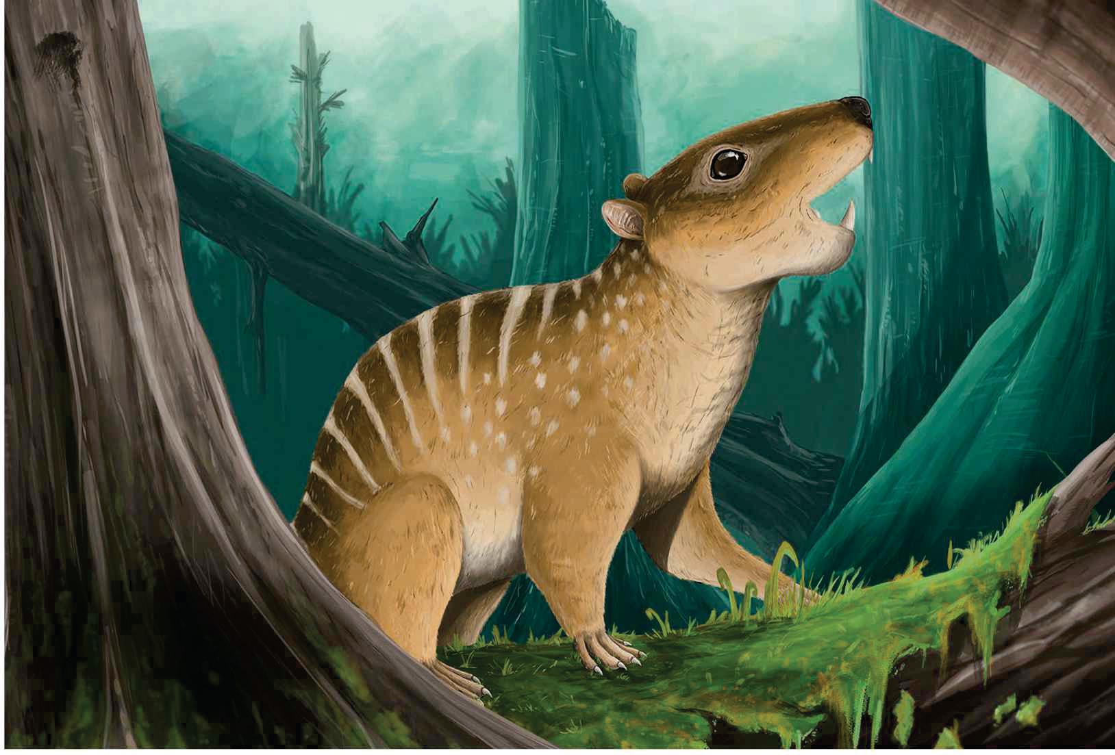 STUDENT DISCOVERS A REMARKABLE NEW PREHISTORIC SPECIES