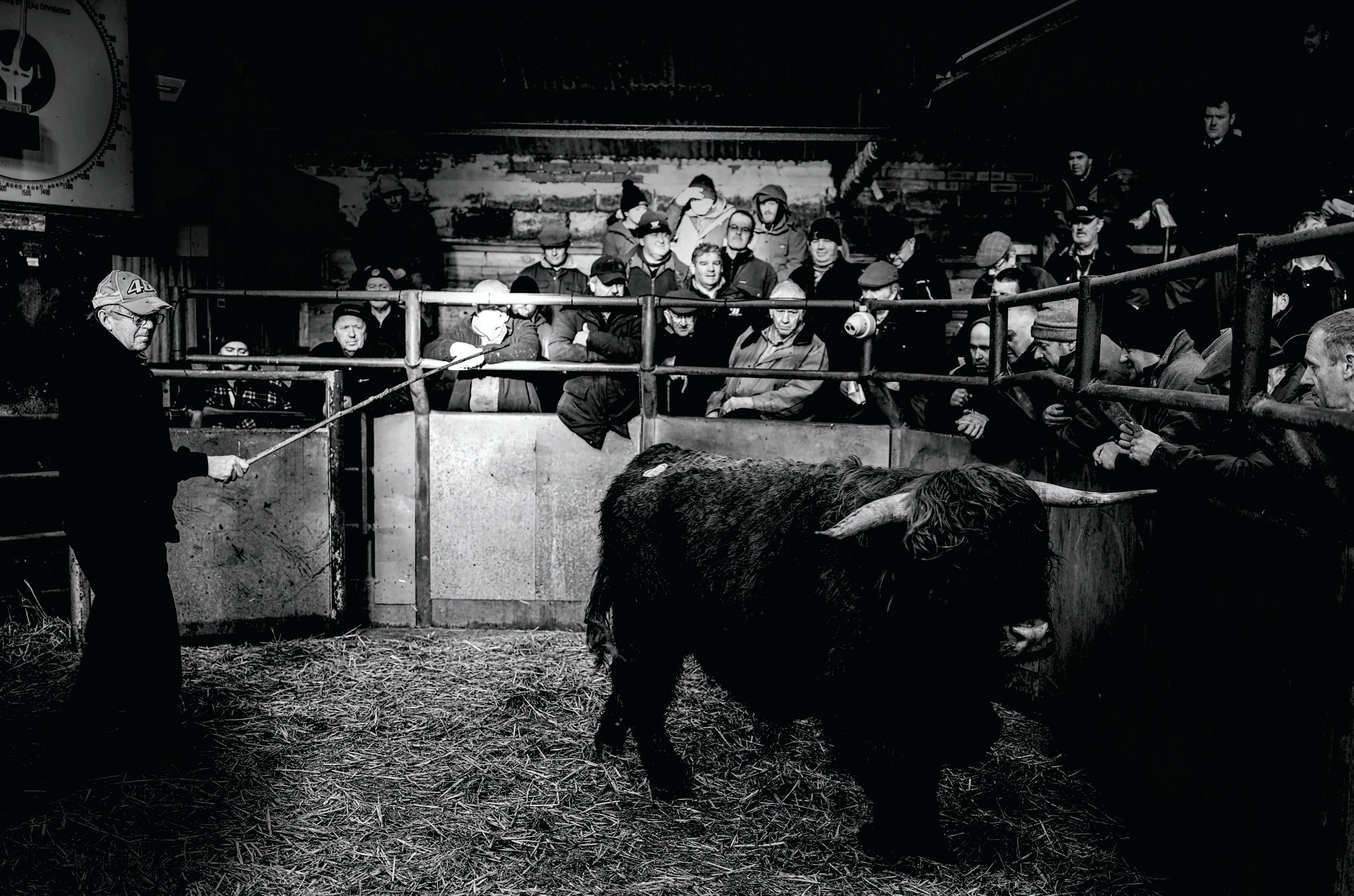 UPLAND OF MY FATHERS