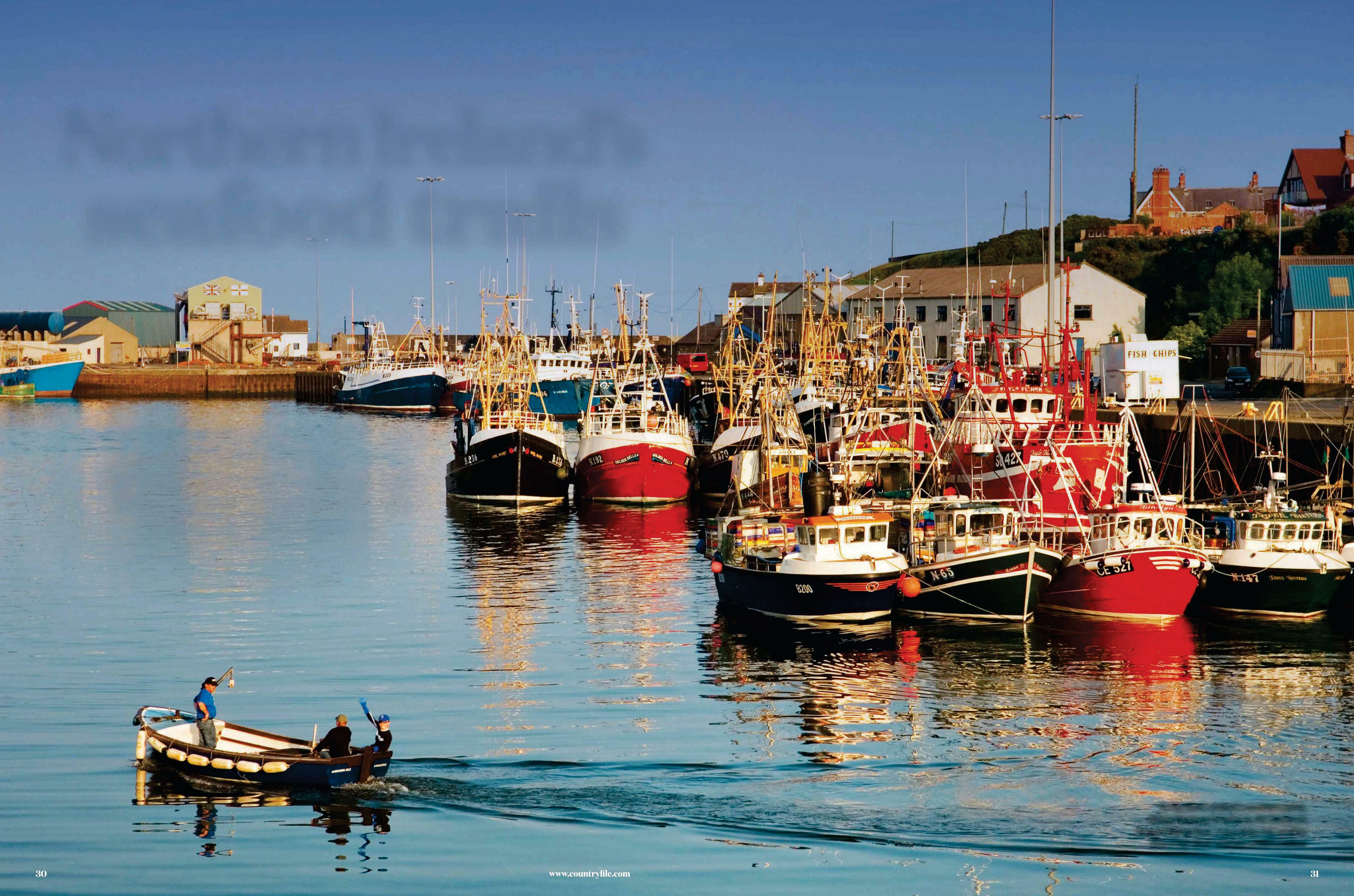Northern Ireland's seafood trails