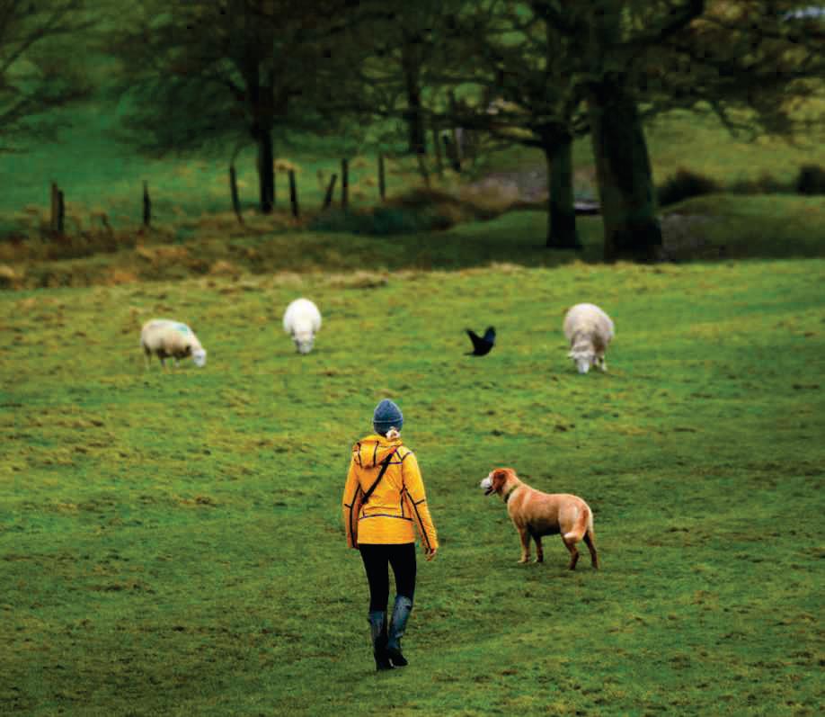 Permissive paths are a precarious privilege we shouldn't abuse