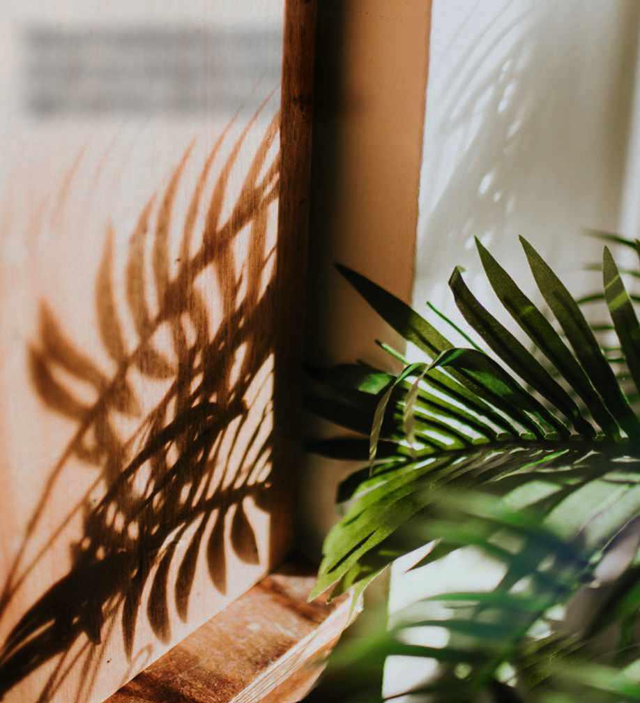 You don't have to be outdoors to appreciate nature's rhythms