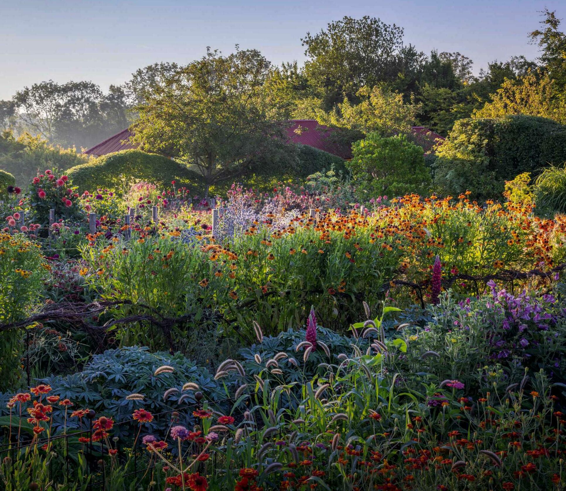 Grow your own cut-flower garden