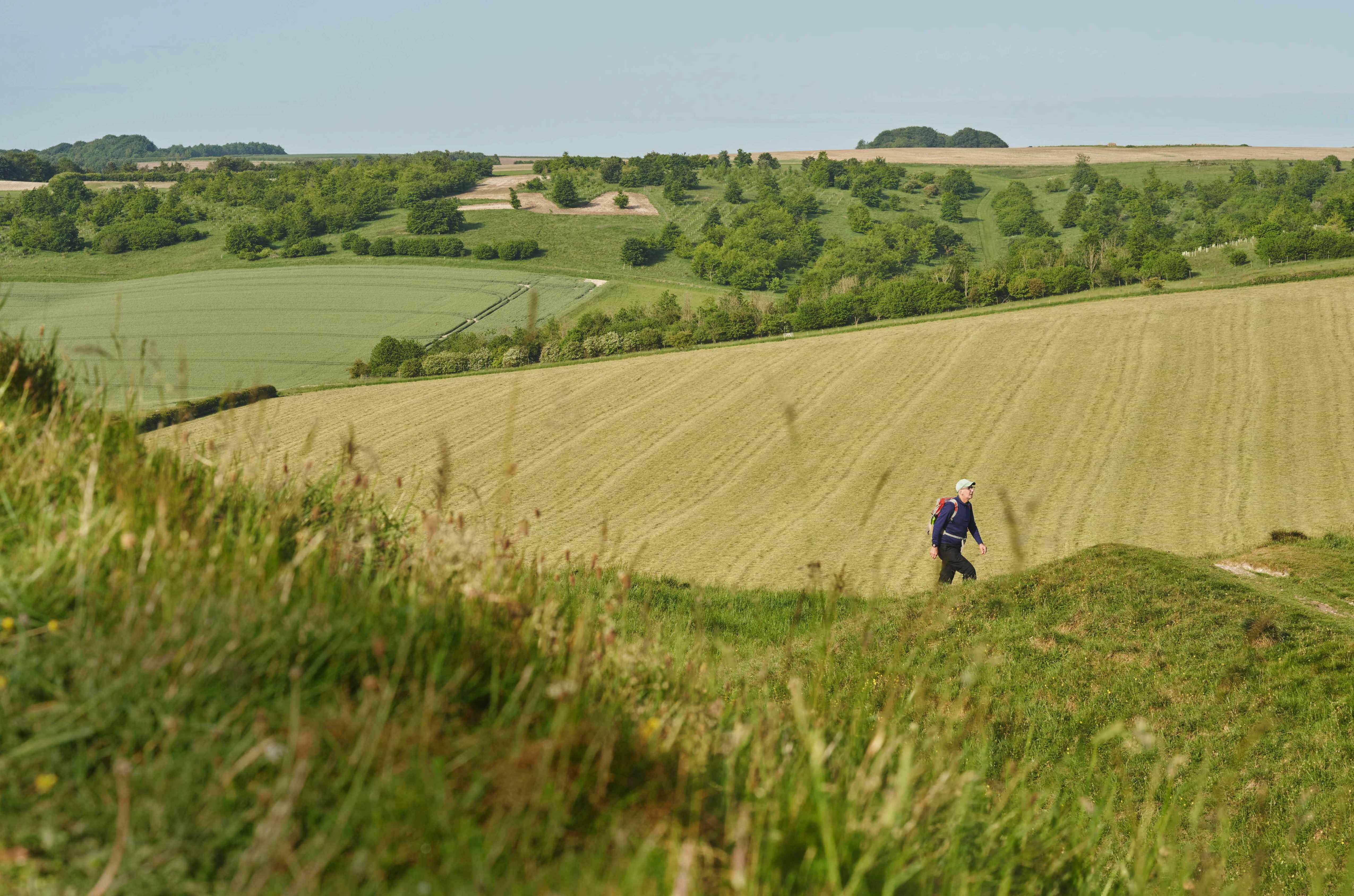 Wiltshire