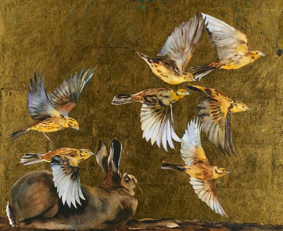 Morris and Macfarlane’s book connects our hearts to the wild world of birds