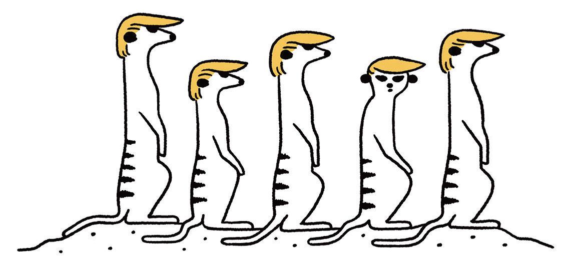 NOW THAT I RUN THE ZOO