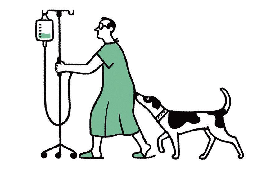 ASK THE DOG DOC