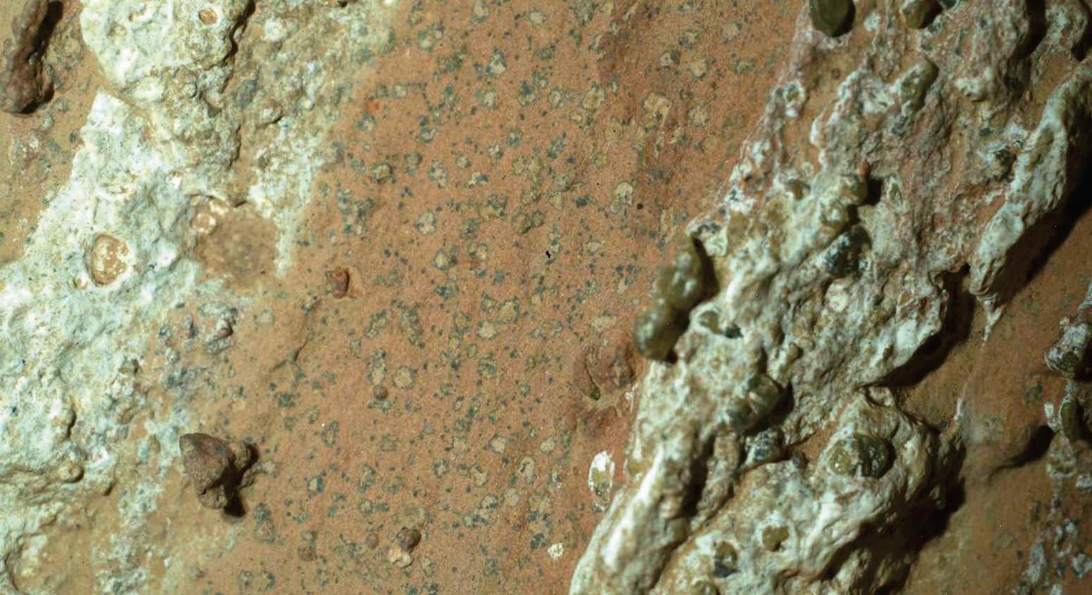 NASA finds new evidence for life on Mars