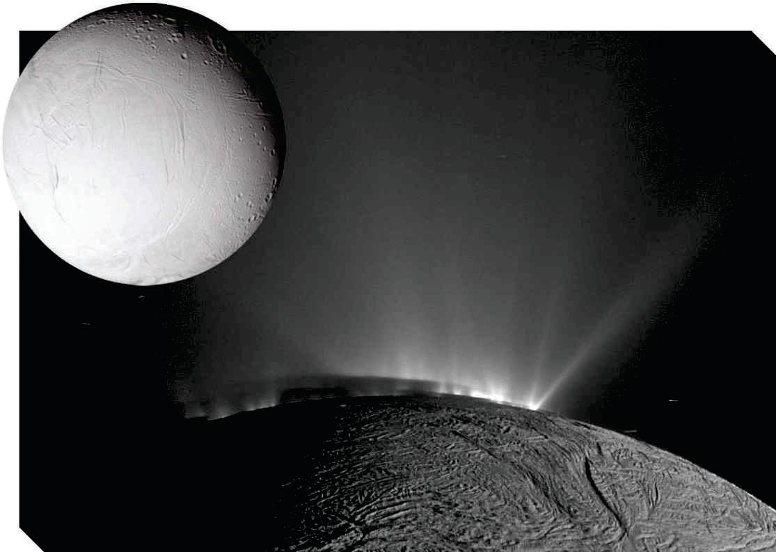 Q&A WITH A PLANETARY LIFE EXPERT