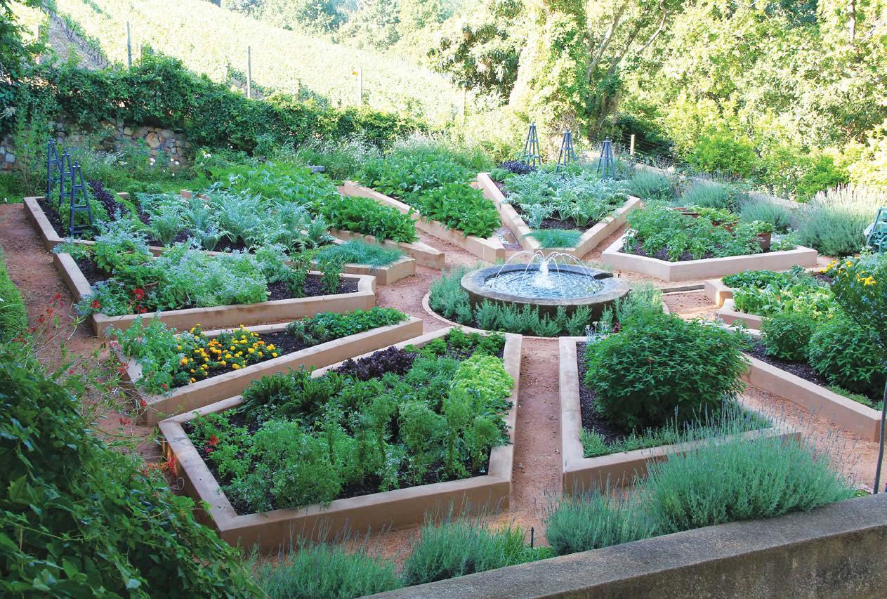 Planter boxes – a stylish solution for every garden