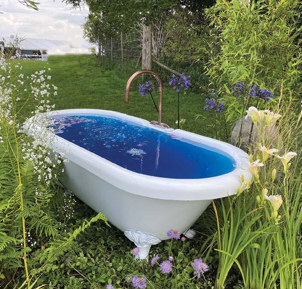 5 Principles for saving water