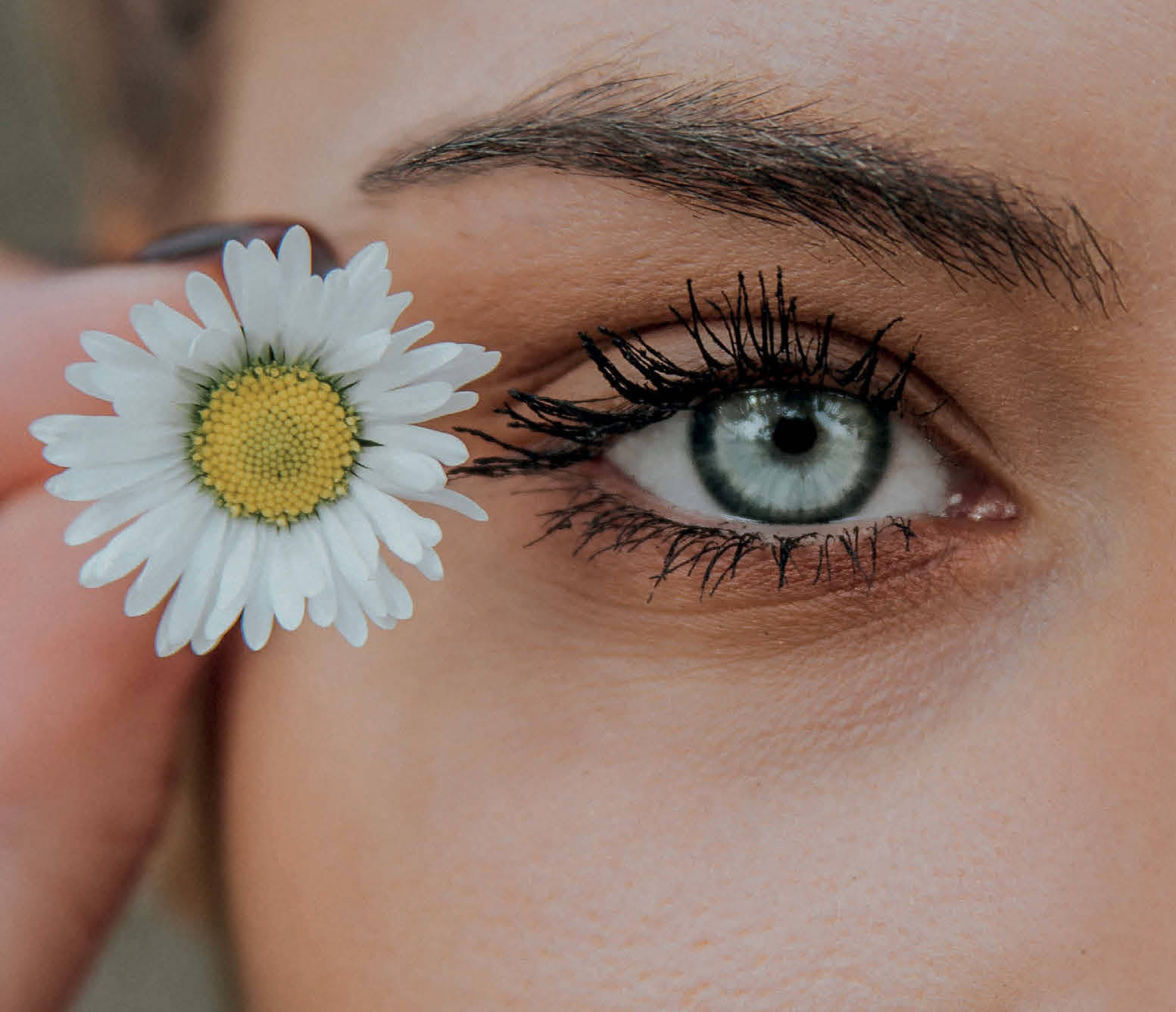 Brow Business