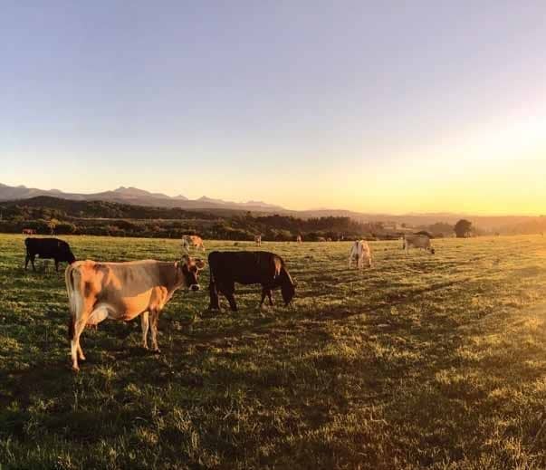 Precision farming for healthy soil