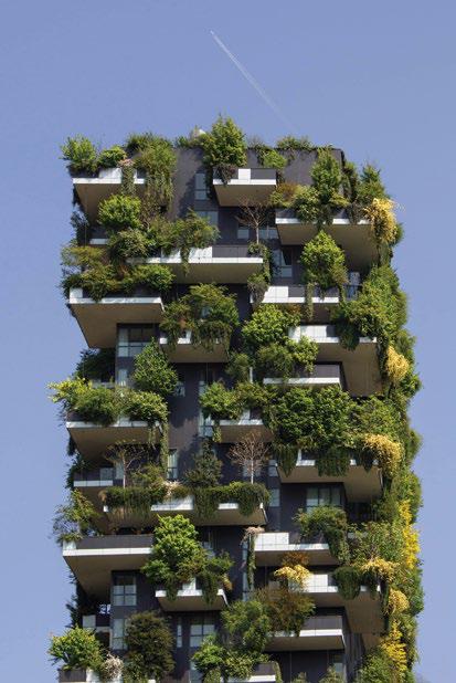 The Real Path to Net zero
