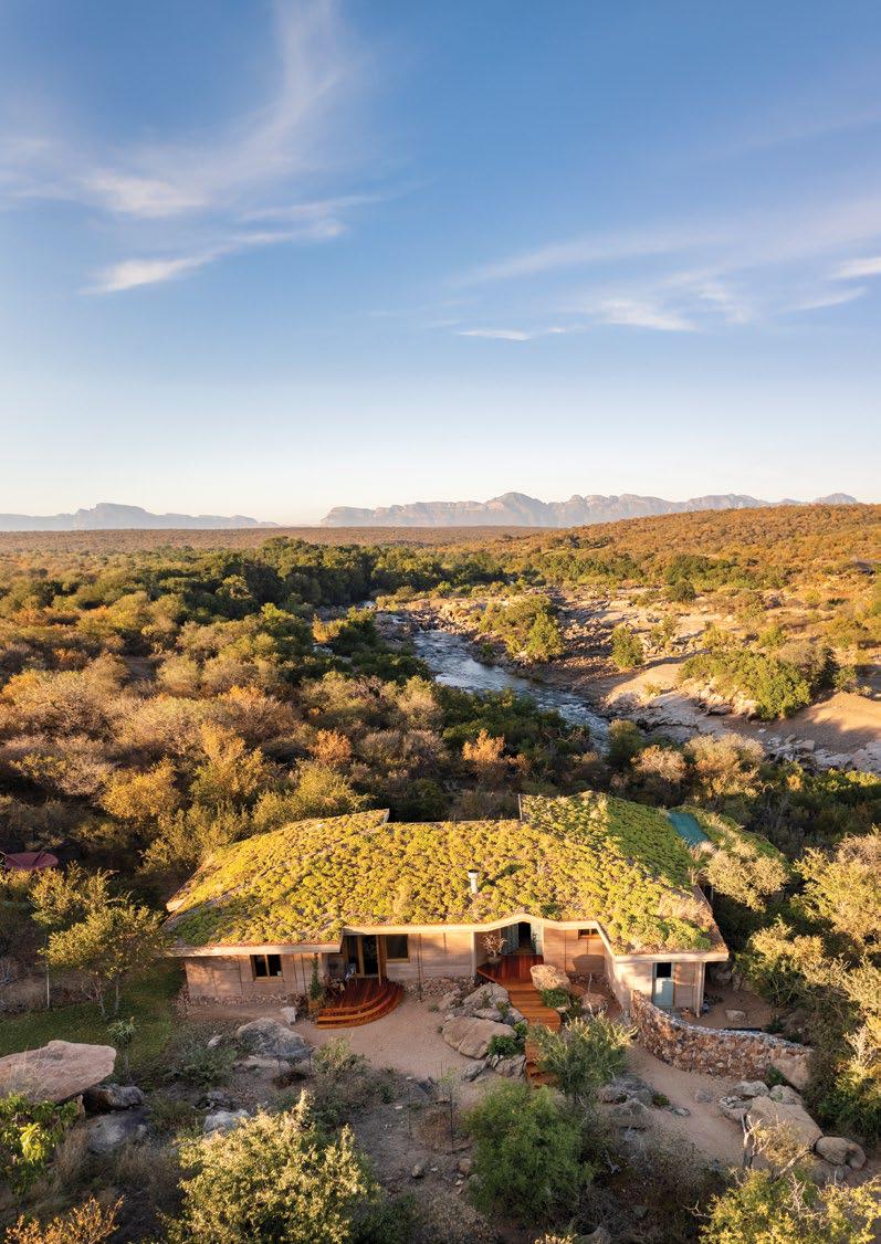 Klipspringer: Lowveld