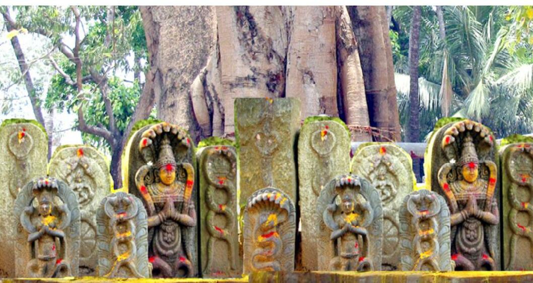 సంతానము కొరకు