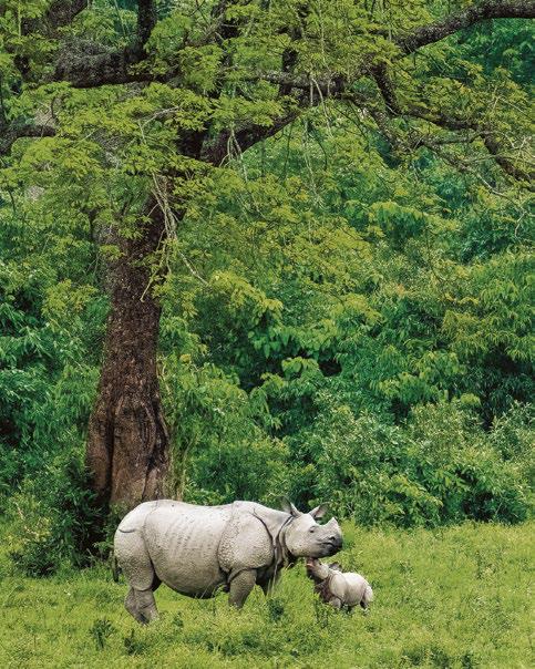 NOT YOUR AVERAGE HONEYMOON