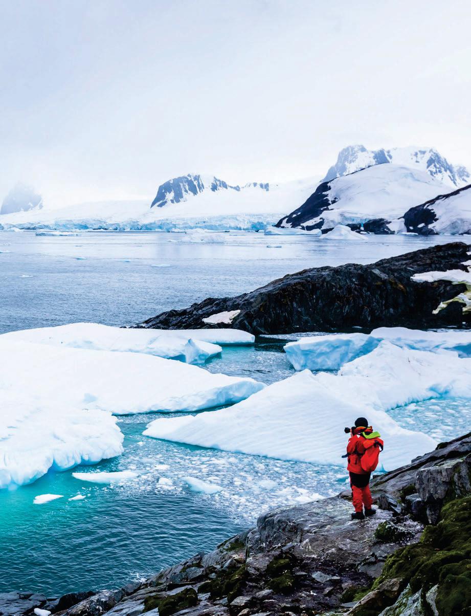 ANTÁRTIDA Y MALVINAS Navegando entre hielo, ballenas y pingüinos