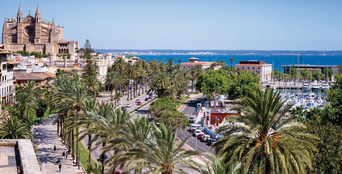 PALMA Orgullosa identidad