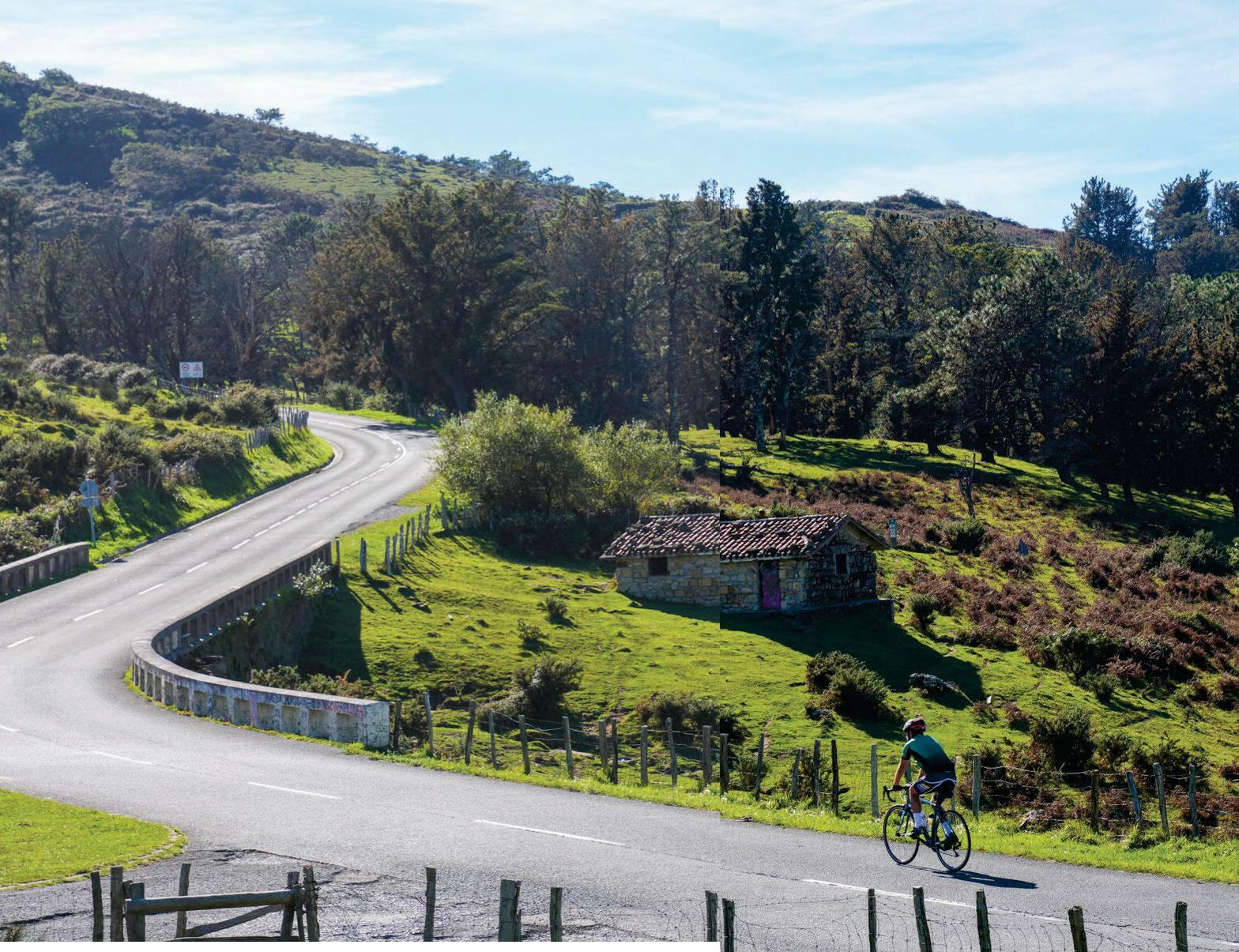 DE SAN SEBASTIAN A PAMPLONA: Ruta en bici por montañas, bosques, valles e historia