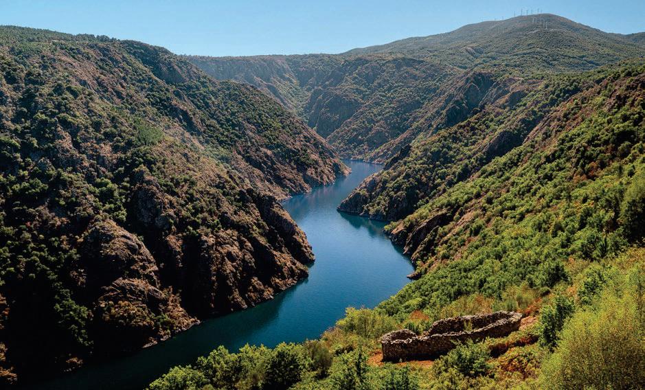 UN CRUCERO POR LA RIBEIRA SACRA PARA DESCUBRIR EL ALMA DE GALICIA