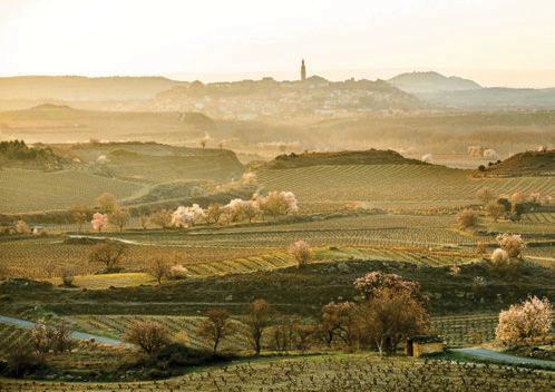 Aromas, paisajes y vinos que reconfortan