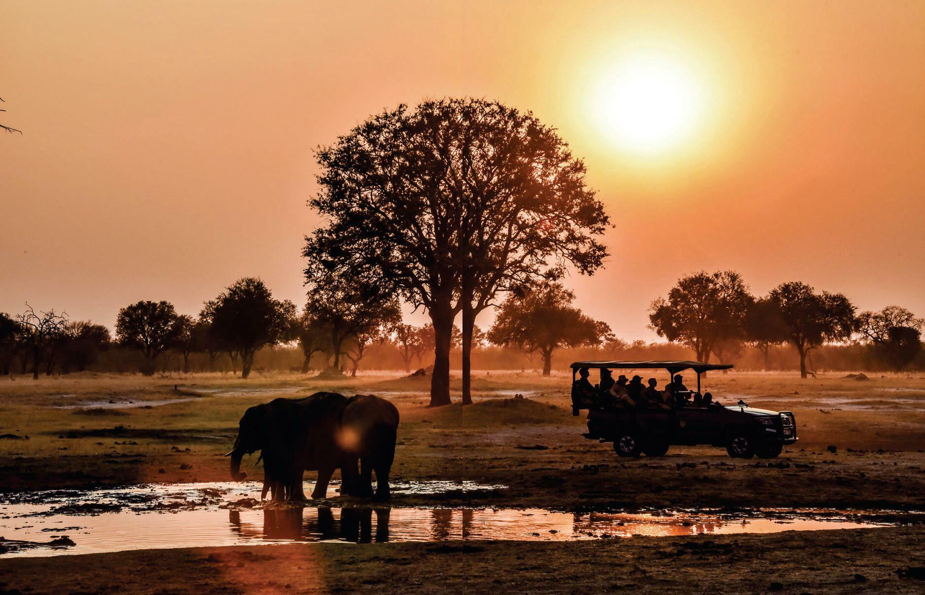 ZAMBIA, ZIMBABUE Y BOTSUANA El rugido de la vida