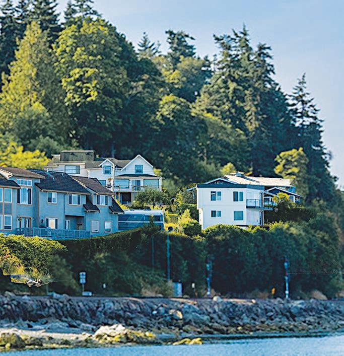 Beachfront Bargain Hunt Renovation