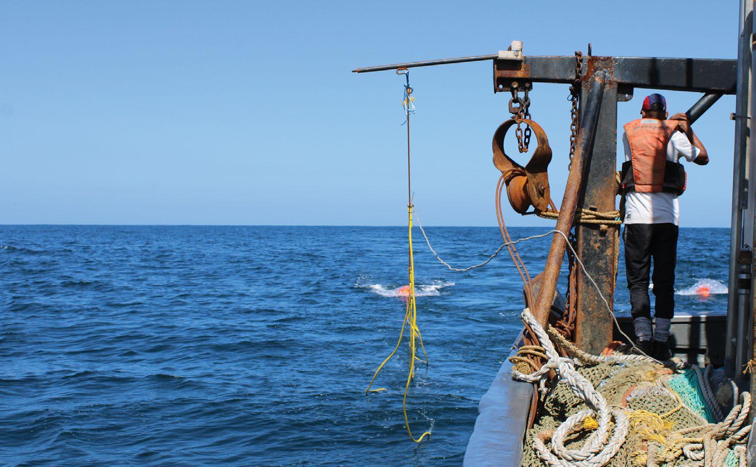 A conservation milestone