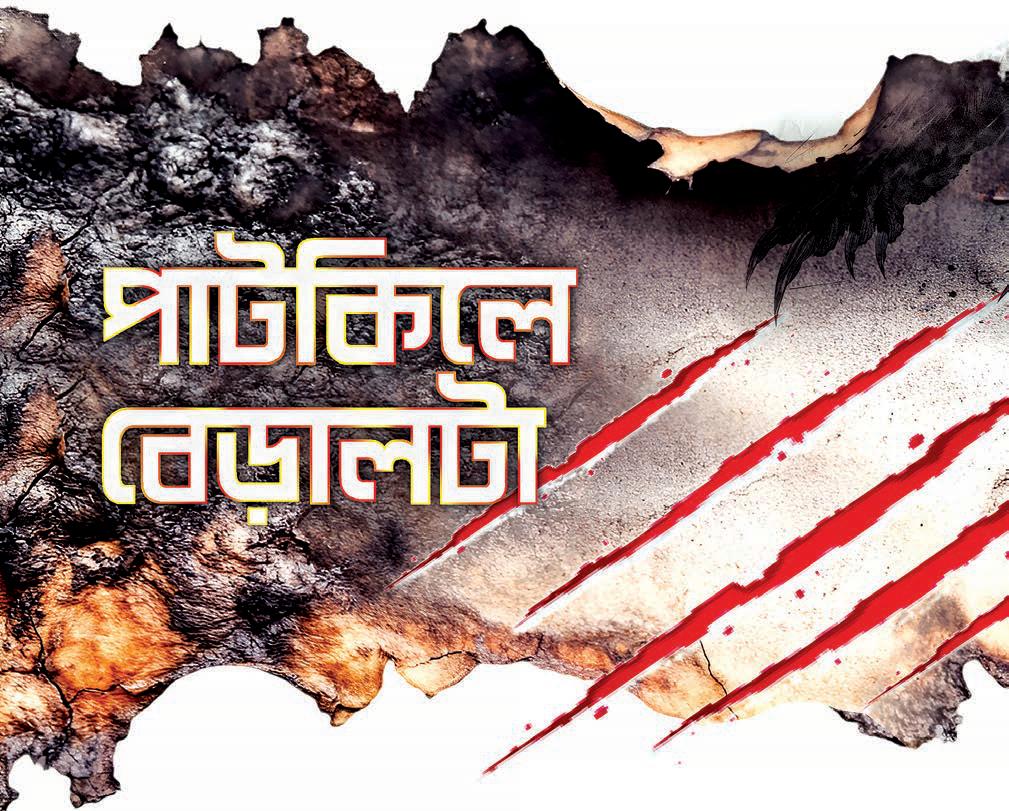 পাটকিলে বেড়ালটা