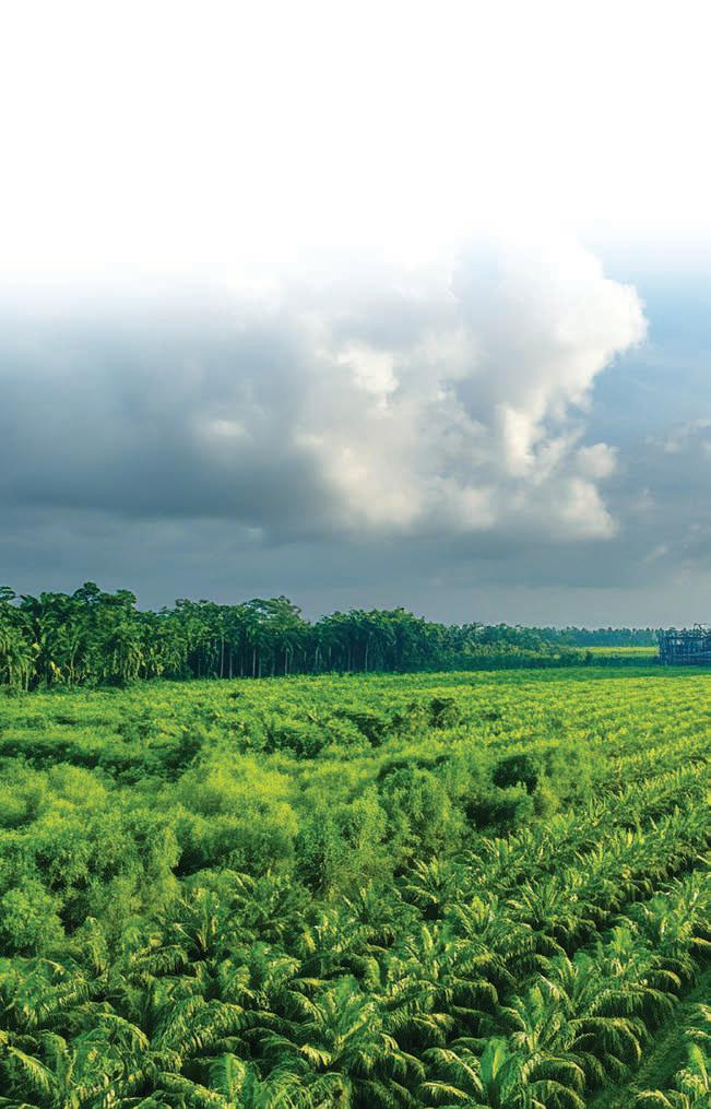 জৈব শক্তি বায়োইথানল